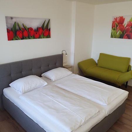 Ubytování Hanka v hotelovém pokoji C408 Frymburk Extérieur photo