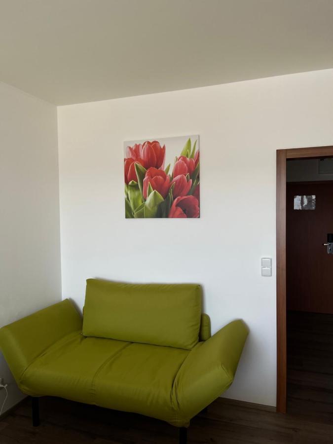 Ubytování Hanka v hotelovém pokoji C408 Frymburk Extérieur photo