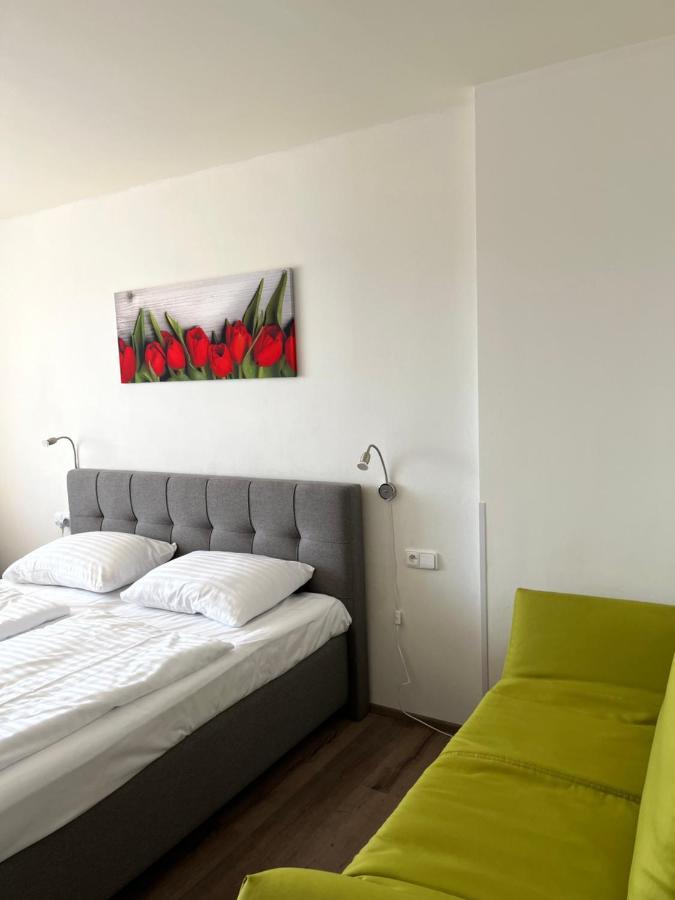 Ubytování Hanka v hotelovém pokoji C408 Frymburk Extérieur photo
